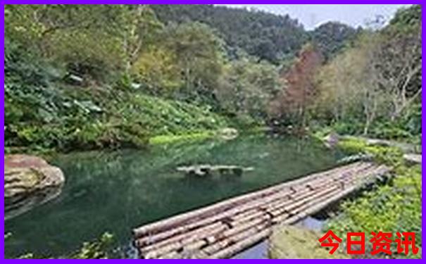 海龟城旅游攻略必去景点
